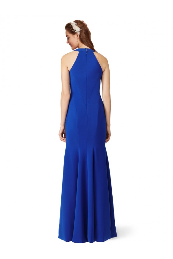 Sleeveless Royal Blue Mermaid V-Neck Formal Evening Gown / Prom Dress / Bridesmaid Dress Lincoln