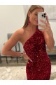 Sleeveless Pink Sheath One Shoulder Prom Dress Lincoln